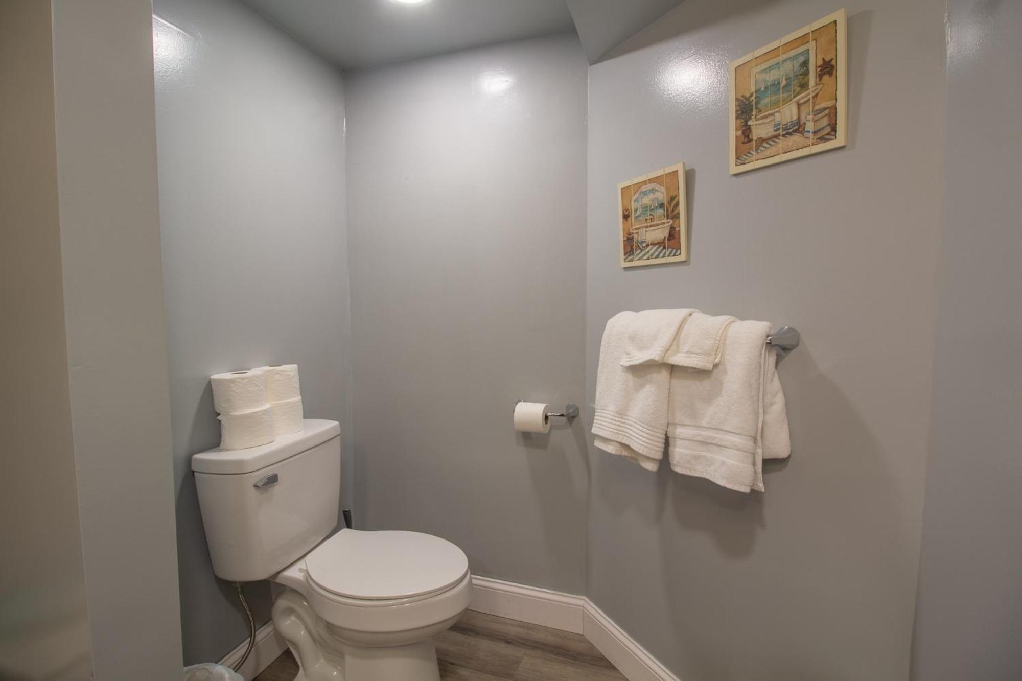 Stay In Ohiopyle In Town By The Gap Trail Exterior foto